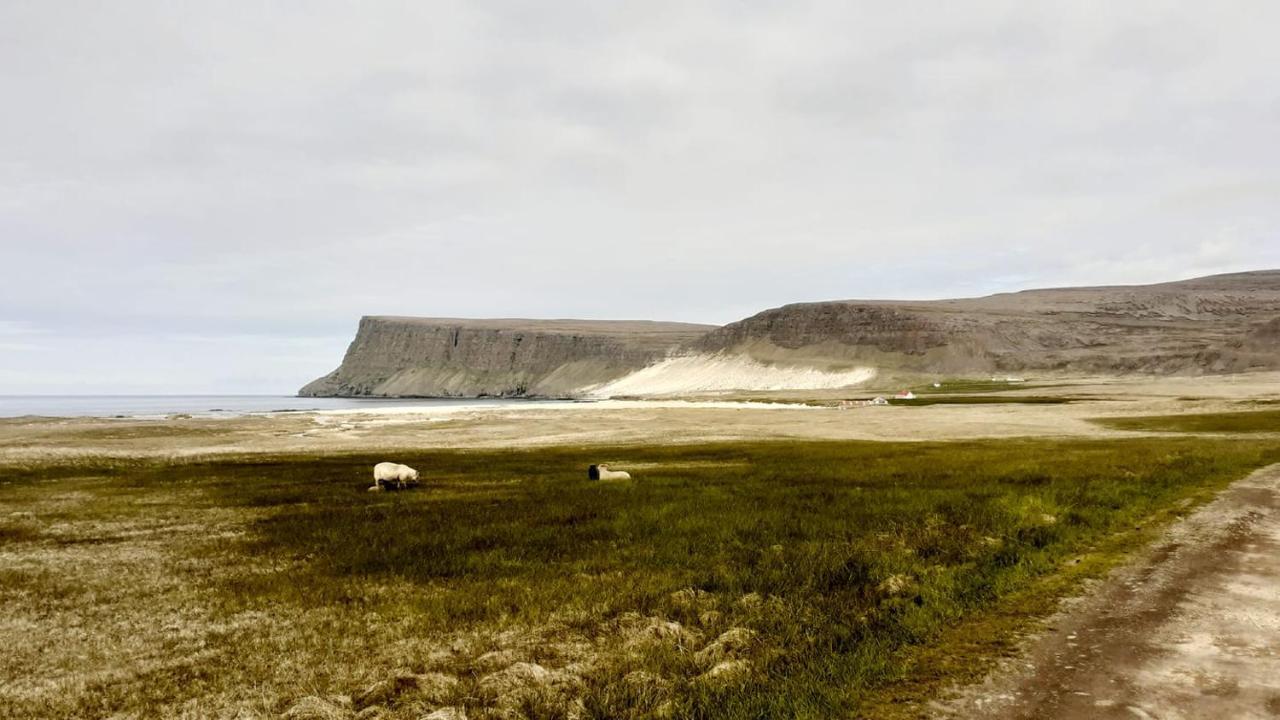 Guesthouse Bjarmaland Talknafjordur Exterior foto